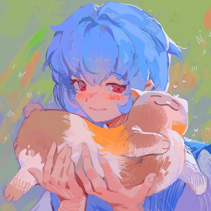 736x736