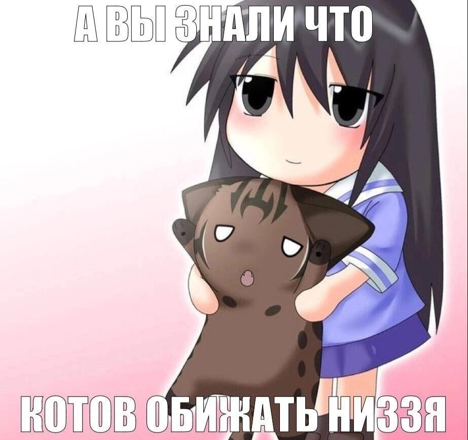 923x868