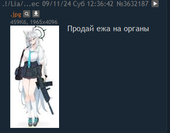 331x260
