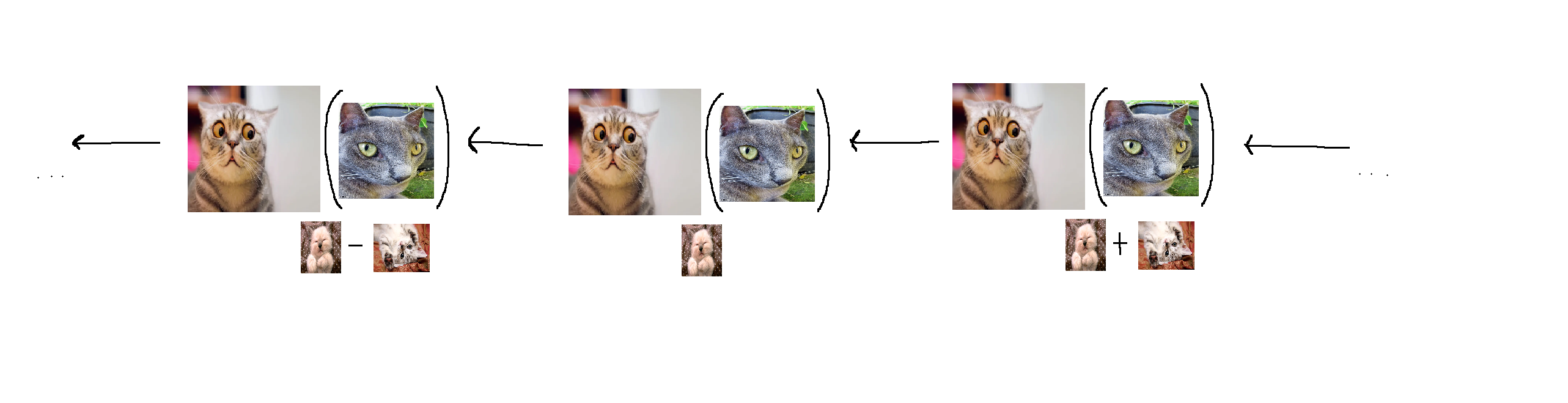 2565x659