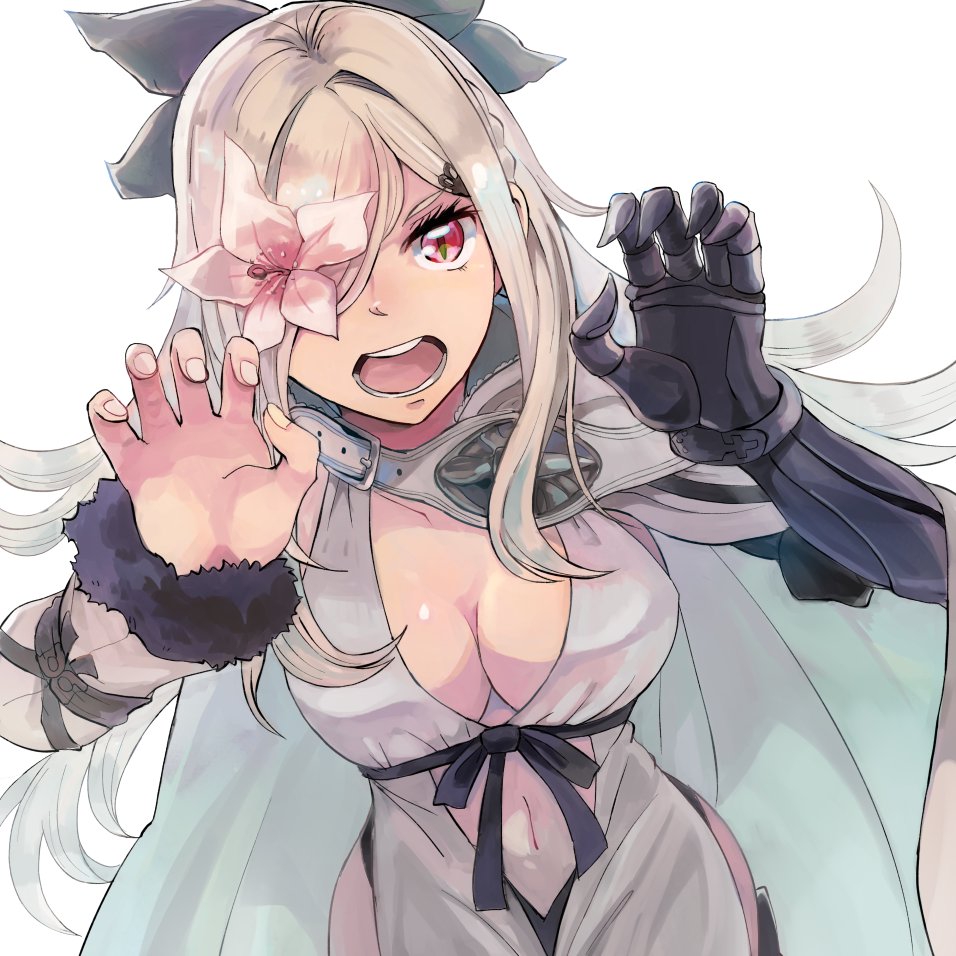 956x956