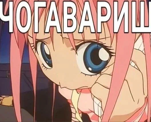 528x429