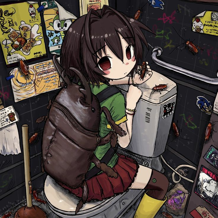 736x736