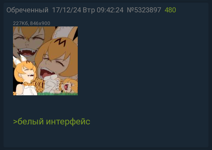 720x510