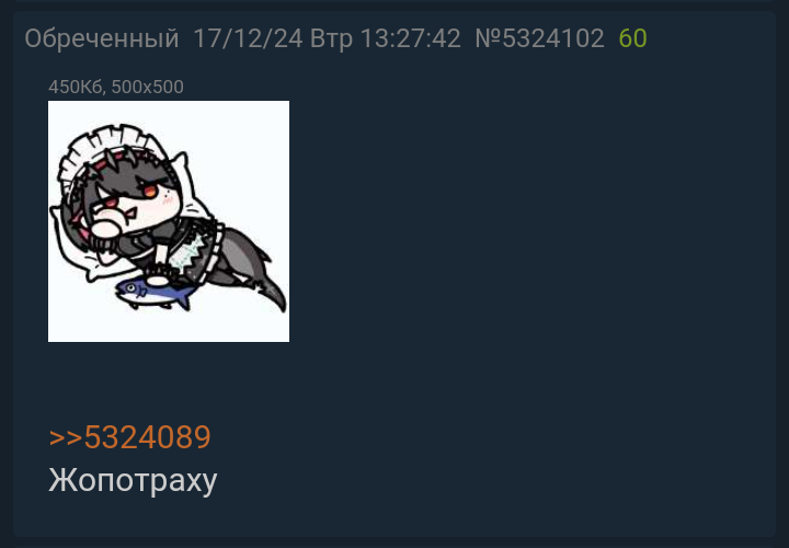 720x500