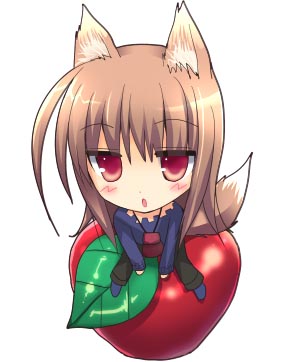 305x362