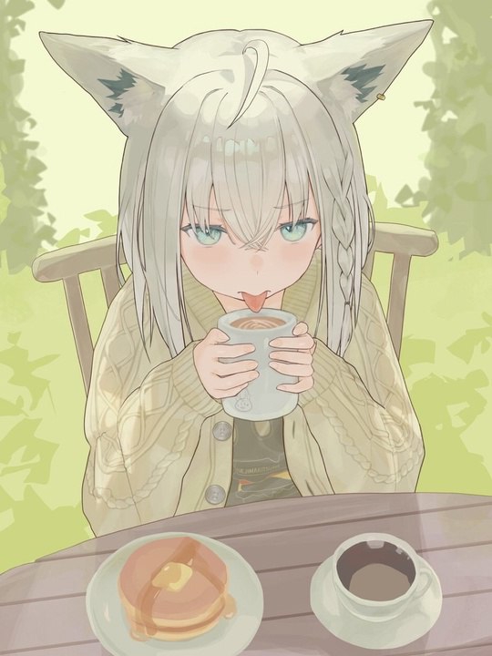 540x720