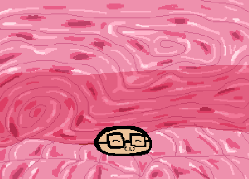 500x360