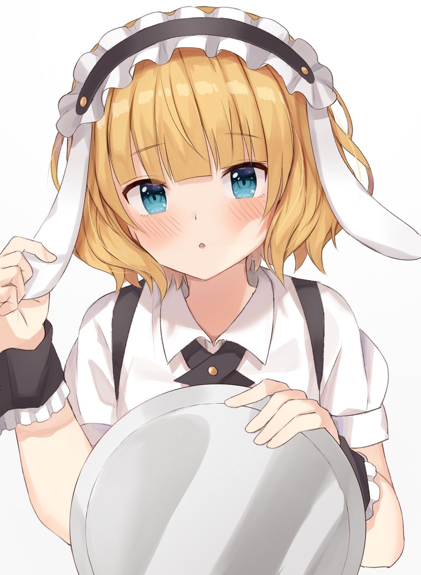 850x1160