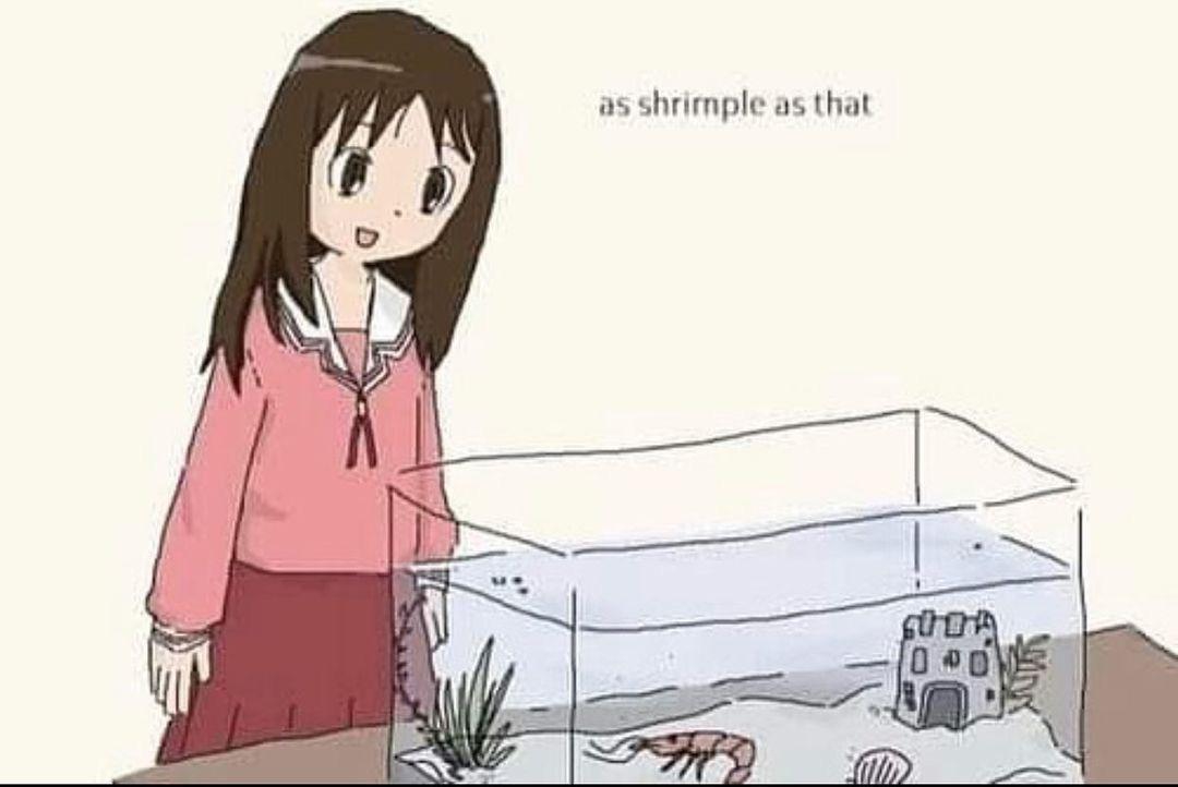1080x722