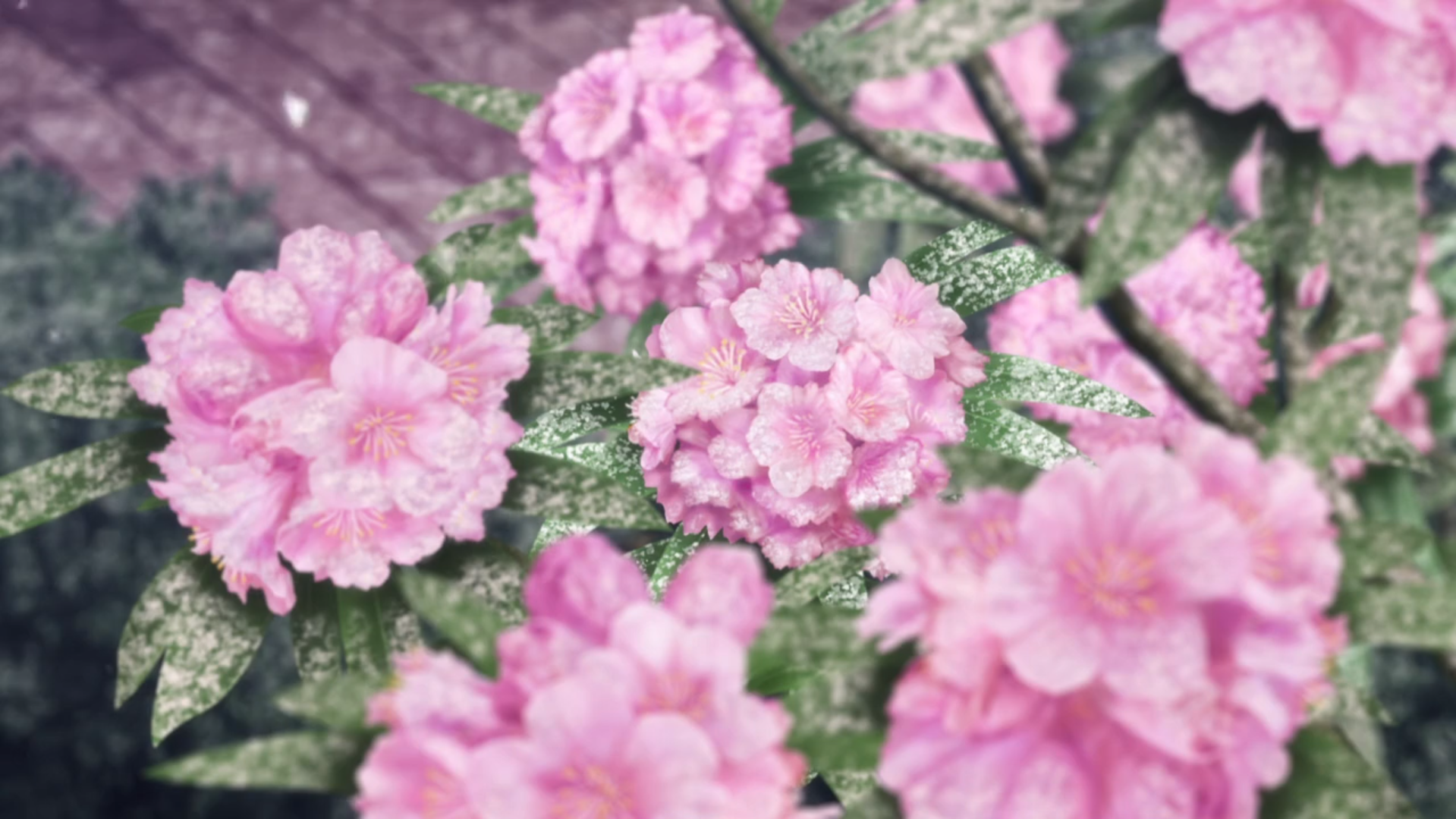 1919x1079