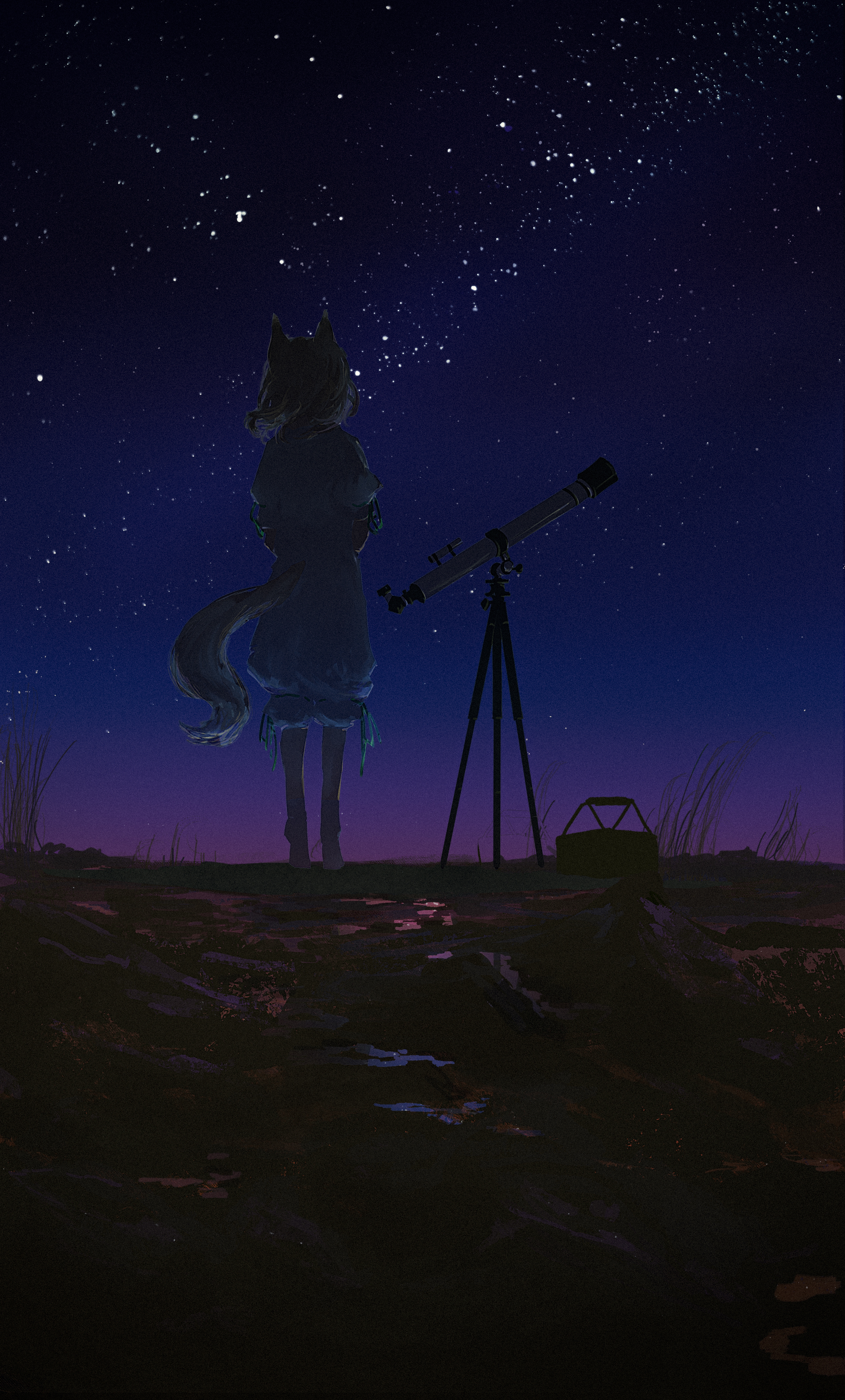 3020x5000