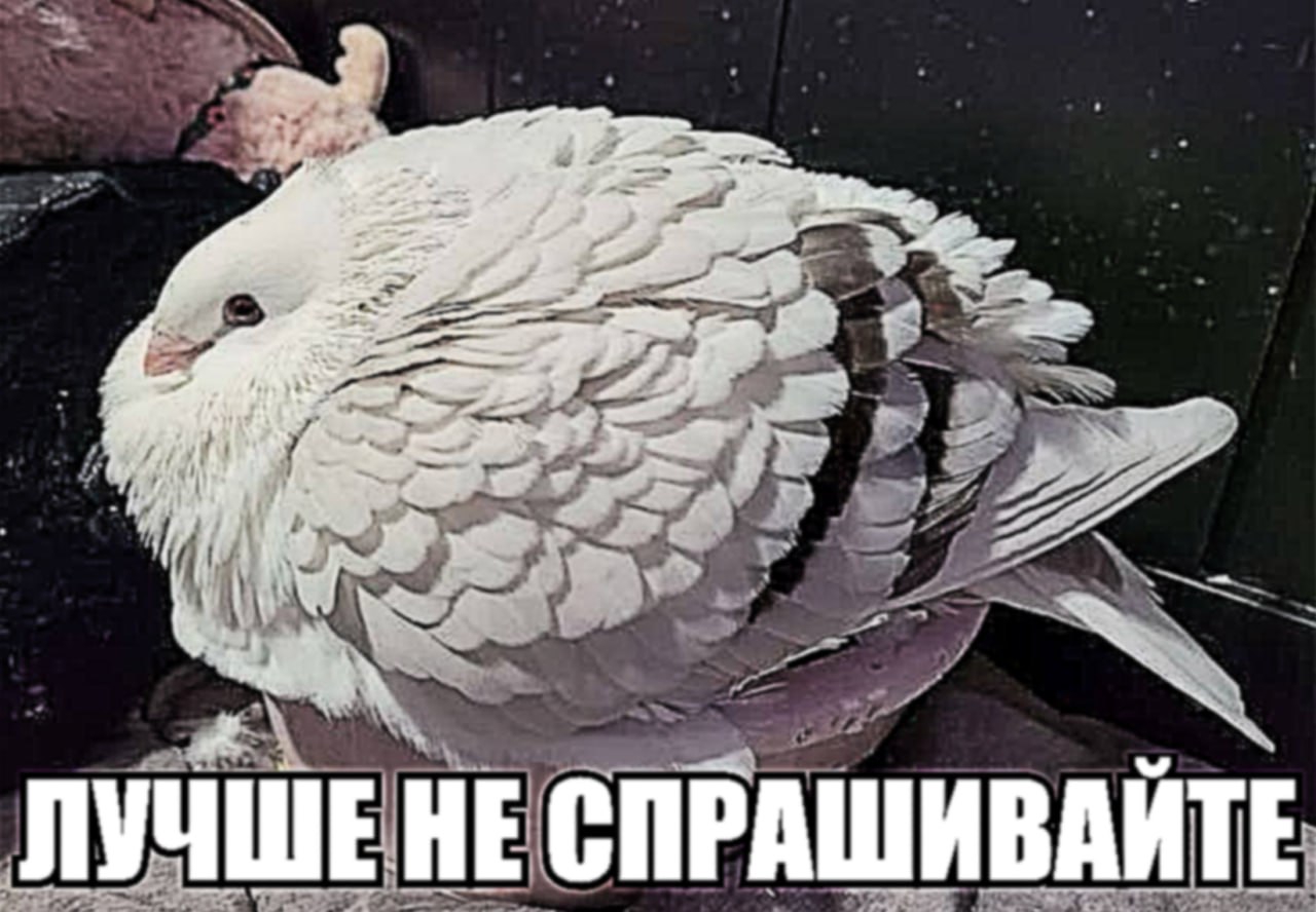 1280x888