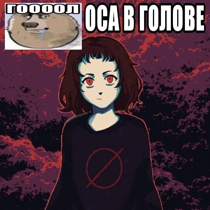 736x736