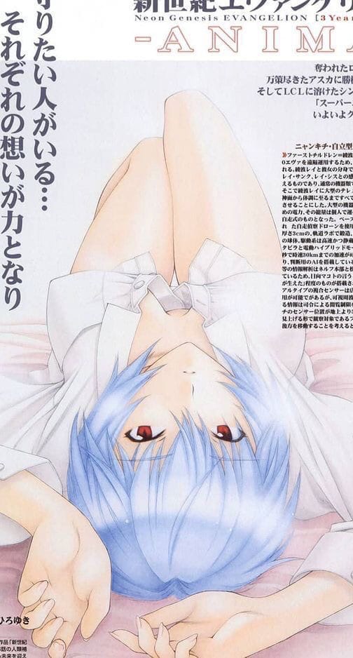 504x938
