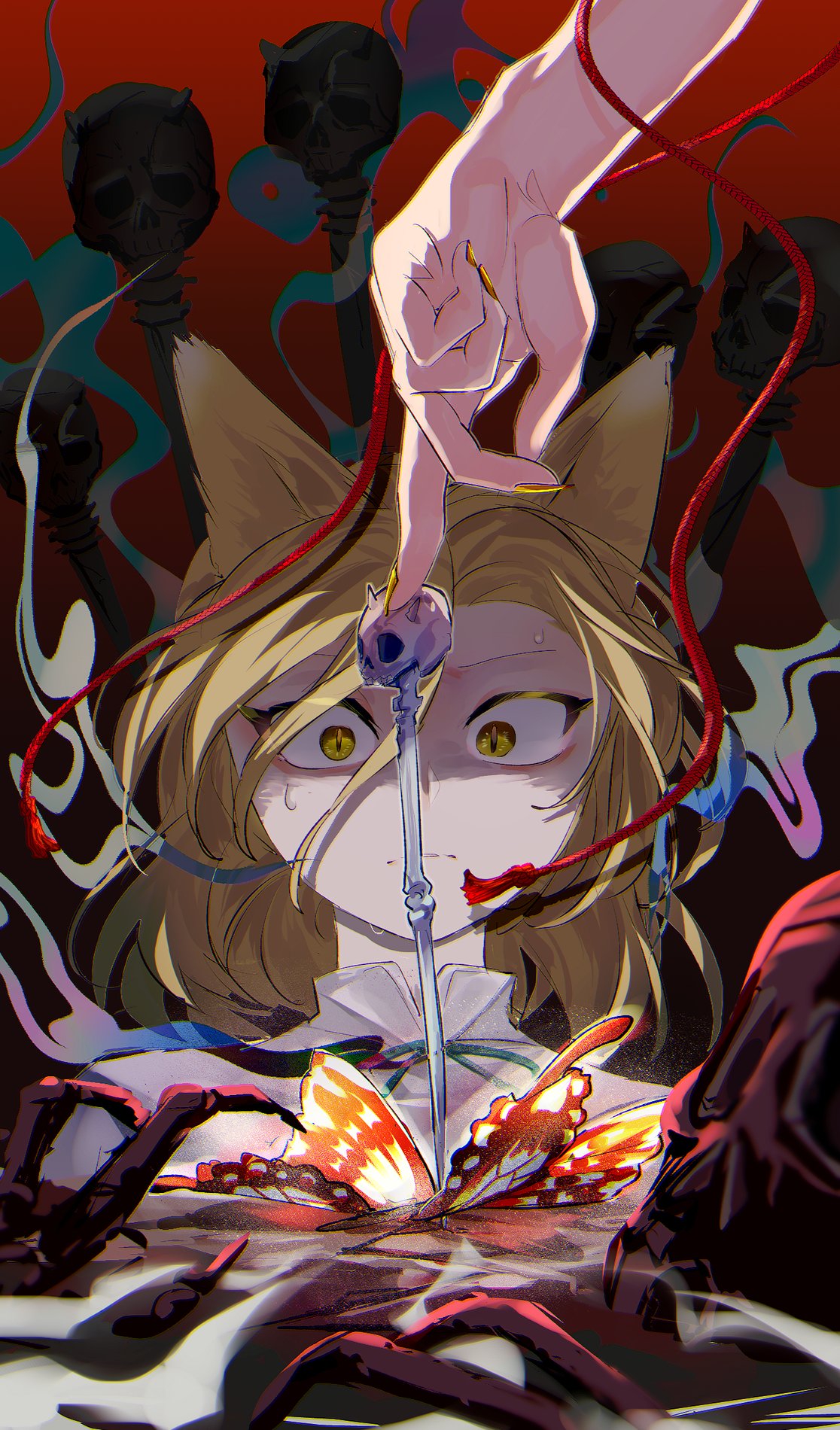 1116x1900