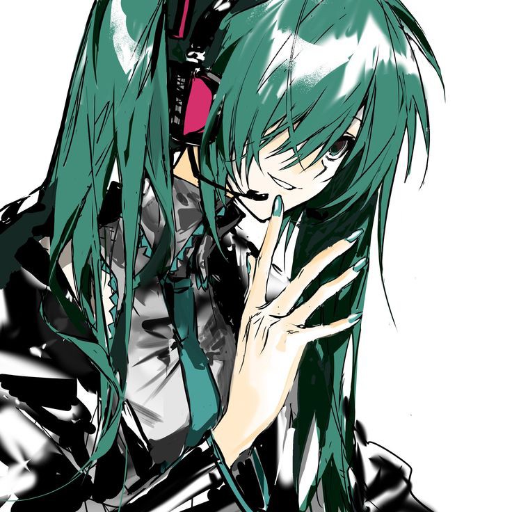 736x736