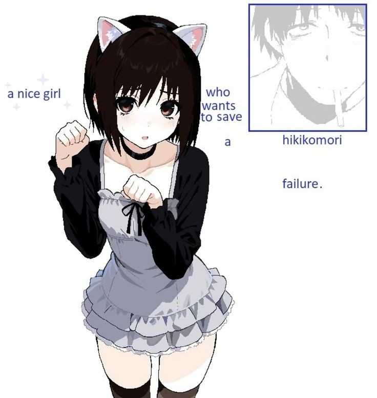 736x776
