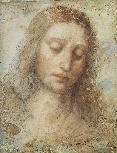 392x512