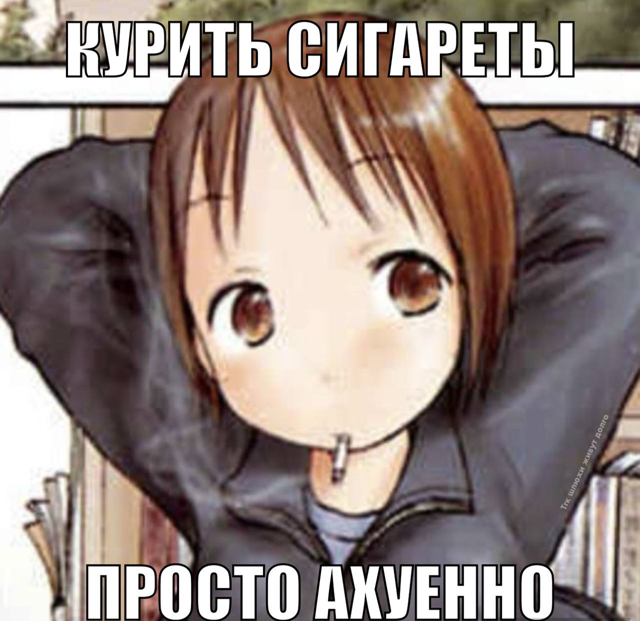 1280x1241