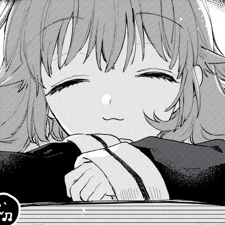 736x736