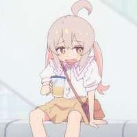 736x736