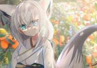 4093x2894