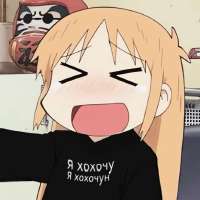 736x736