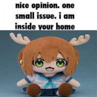 736x736