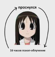 626x646