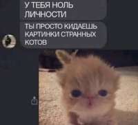 735x672