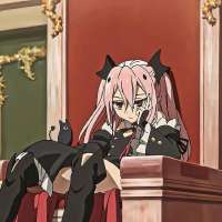 736x736