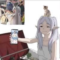 720x720