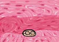 500x360