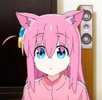 778x769