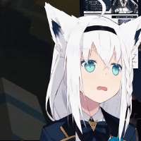 498x498