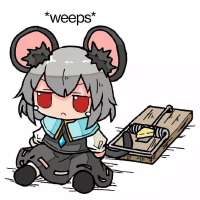 736x736