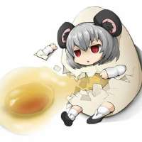 736x736