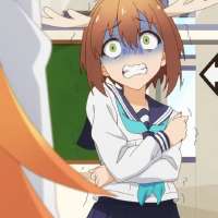 736x736