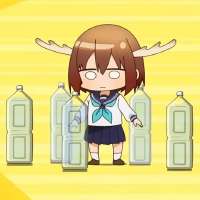 736x736