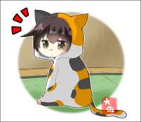 848x732