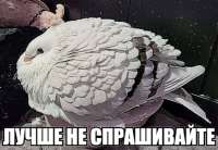 1280x888