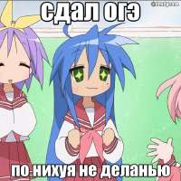736x736