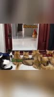 360x640