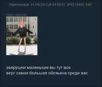 720x620