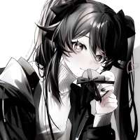 736x736