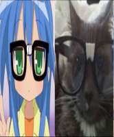 736x886