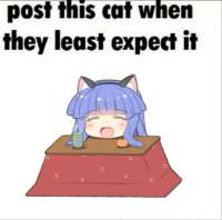 735x729