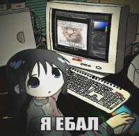 978x955