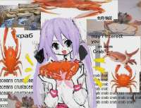 1017x780